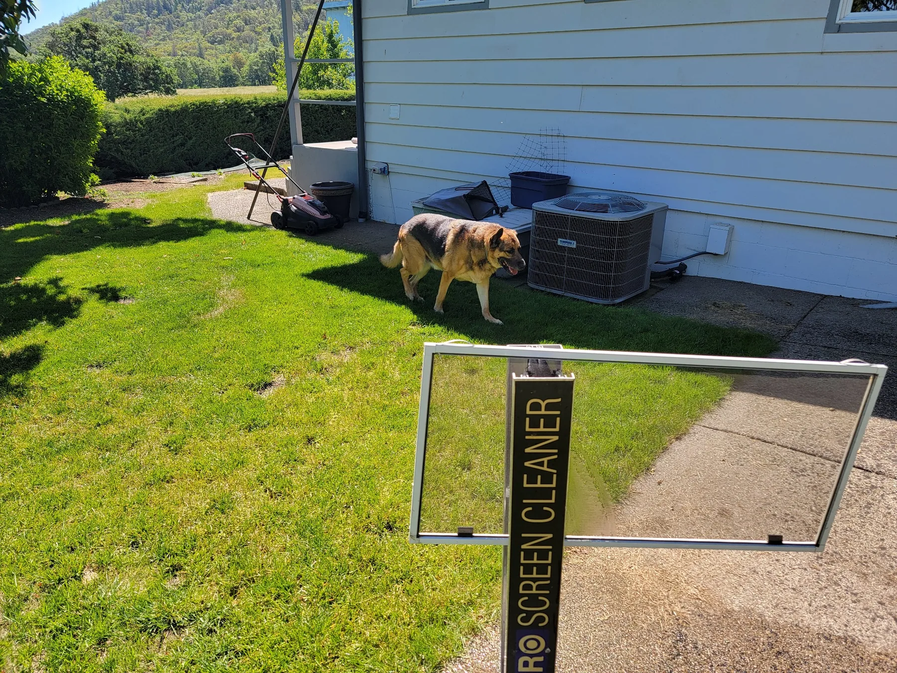 Screen cleaner tool cleaning a window screen